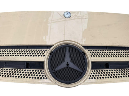 Kapotas, variklio dangtis A9607500309 Mercedes-Benz Trucks ACTROS MP4 / MP5 2018