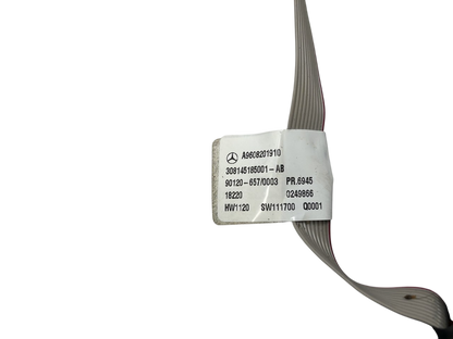 Руль / комплектующие A9608201910 buttons Mercedes-Benz Trucks ANTOS 2015